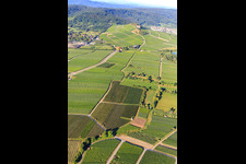 Aerial photograpy of Vineyards in Bönnigheim in the state Baden-Wuerttemberg, Germany