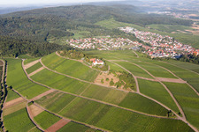 Aerial view of District Treffentrill in Cleebronn in the state Baden-Wuerttemberg, Germany