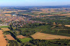 Vineyards in the Kraichgau in Sulzfeld in the state Baden-Wuerttemberg, Germany