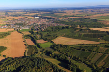 Aerial view of Vineyards in the Kraichgau in Sulzfeld in the state Baden-Wuerttemberg, Germany