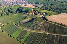 Oblique view of Ravensburg Castle (Sulzfeld) in the morning on a hill with vineyards in Sulzfeld in the state Baden-Wuerttemberg, Germany