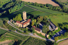 Ravensburg Castle (Sulzfeld) in the morning on a hill with vineyards in Sulzfeld in the state Baden-Wuerttemberg, Germany from above