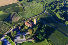 Ravensburg Castle (Sulzfeld) in the morning on a hill with vineyards in Sulzfeld in the state Baden-Wuerttemberg, Germany seen from above