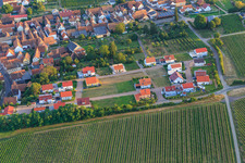 New development area Am Apfelgarten in Impflingen in the state Rhineland-Palatinate, Germany