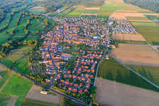 Village overview from the west in Steinweiler in the state Rhineland-Palatinate, Germany