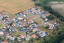 District Hardtwald in Neupotz in the state Rhineland-Palatinate, Germany