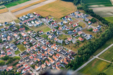 Flower ring in the district Hardtwald in Neupotz in the state Rhineland-Palatinate, Germany from above