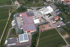 Adam Theis GmbH - Fresh vegetables since 1875 in the district Niederhochstadt in Hochstadt in the state Rhineland-Palatinate, Germany