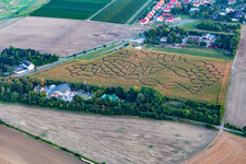 Corn maze in Dalheim in the state Rhineland-Palatinate, Germany