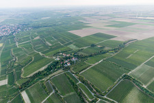 Walheimer Graben in the district Hangen-Wahlheim in Alsheim in the state Rhineland-Palatinate, Germany