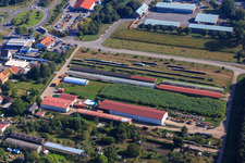 Agricultural halls at Ettenbaum in Kandel in the state Rhineland-Palatinate, Germany from a drone