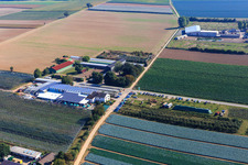 Bird's eye view of Zapf Farm Market in Kandel in the state Rhineland-Palatinate, Germany