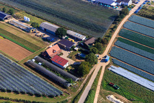 Zapf Fresh Vegetables Am Holderbühl in Kandel in the state Rhineland-Palatinate, Germany