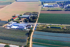 Zapf Farm Market in Kandel in the state Rhineland-Palatinate, Germany viewn from the air