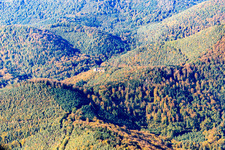 Wasigenstein in Niedersteinbach in the state Bas-Rhin, France