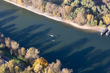 Paddlers at Bonadieshafen in the district Neckarstadt-West in Mannheim in the state Baden-Wuerttemberg, Germany