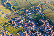 Complex of the hotel building ondhaus Christmonn - Weingut & Brennerei in Sankt Martin in the state Rhineland-Palatinate, Germany