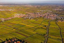 Maikammer in the state Rhineland-Palatinate, Germany from above