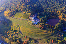 Aerial view of Arens Hotel 327m above sea level between forest, sports field Sankt Martin and herbaceous colored vines in the district SaintMartin in Sankt Martin in the state Rhineland-Palatinate, Germany