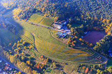 Aerial photograpy of Arens Hotel 327m above sea level between forest, sports field Sankt Martin and herbaceous colored vines in the district SaintMartin in Sankt Martin in the state Rhineland-Palatinate, Germany