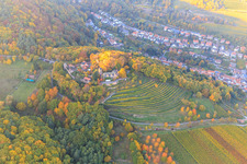 Aerial photograpy of Kropsburg Castle in autumn colours from the south in the district SaintMartin in Sankt Martin in the state Rhineland-Palatinate, Germany