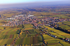 City view in the evening in autumn from the west in Edenkoben in the state Rhineland-Palatinate, Germany