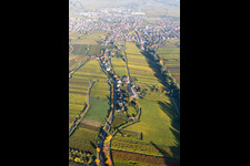 Fields of wine cultivation landscape in the district Siedlung in Edenkoben in the state Rhineland-Palatinate