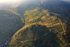Autumn light colorful vines of the vineyards of the Kastanienbusch location in Birkweiler in the state Rhineland-Palatinate, Germany
