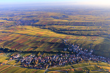 Autumn light colorful vines of the vineyards to Ilbesheim in Ranschbach in the state Rhineland-Palatinate, Germany