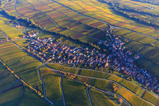 Aerial view of Wine-growing village on the edge of the Haardt in autumn colours from the north in Ranschbach in the state Rhineland-Palatinate, Germany