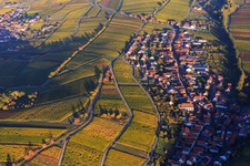 Autumn light colorful vines of the vineyards of the Mandelhein location in Ranschbach in the state Rhineland-Palatinate, Germany
