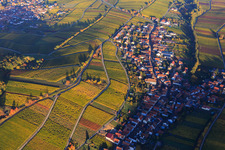 Aerial view of Autumn light colorful vines of the vineyards of the Mandelhein location in Ranschbach in the state Rhineland-Palatinate, Germany