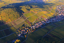 Autumn light colorful vines of the vineyards on the southern slope of the Haardtrand in Ranschbach in the state Rhineland-Palatinate, Germany