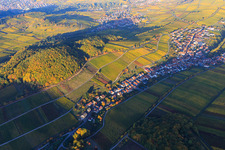 Aerial view of Autumn light colorful vines of the vineyards on the southern slope of the Haardtrand in Ranschbach in the state Rhineland-Palatinate, Germany