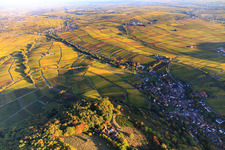 Hotel Leinsweiler Hof between autumnal, colorful vineyards in Leinsweiler in the state Rhineland-Palatinate, Germany