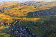 Aerial view of Hotel Leinsweiler Hof between autumnal, colorful vineyards in Leinsweiler in the state Rhineland-Palatinate, Germany