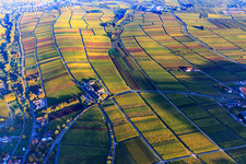 Aerial photograpy of Hotel Leinsweiler Hof between autumnal, colorful vineyards in Leinsweiler in the state Rhineland-Palatinate, Germany
