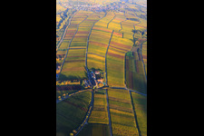 Hotel Leinsweiler Hof between autumnal, colorful vineyards in Leinsweiler in the state Rhineland-Palatinate, Germany from above