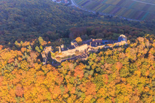 Madenburg castle ruins in the autumn forest at evening light in Eschbach in the state Rhineland-Palatinate, Germany from the plane