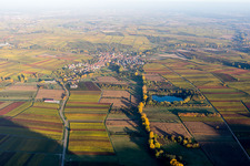 Village - view on the edge of agricultural fields and farmland in Goecklingen in fall and evening colours in the state Rhineland-Palatinate, Germany