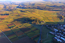 Keschdebuckel with hospital cemetery and Palatinate Memorial for the Victims of Nazi Psychiatry in Göcklingen in the state Rhineland-Palatinate, Germany