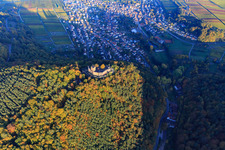 Oblique view of Castle ruins of Landeck Castle in the autumn forest at evening light in Klingenmünster in the state Rhineland-Palatinate, Germany
