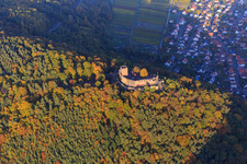 Castle ruins of Landeck Castle in the autumn forest at evening light in Klingenmünster in the state Rhineland-Palatinate, Germany out of the air