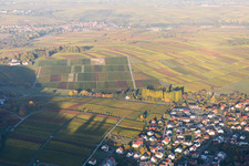 Klingenmünster in the state Rhineland-Palatinate, Germany