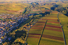 Aerial view of Autumn light colorful vines of the vineyards to Klingen in Klingenmünster in the state Rhineland-Palatinate, Germany