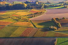 Autumn light, colorful vines of the vineyards as far as Oberhausen in the district Drusweiler in Kapellen-Drusweiler in the state Rhineland-Palatinate, Germany