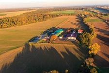 Aerial photograpy of Aussiedlerhof Wagner GmbH with biogas storage facilities in Steinweiler in the state Rhineland-Palatinate, Germany