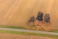 Aerial view of Hatzenbühl in the district Hayna in Herxheim bei Landau in the state Rhineland-Palatinate, Germany