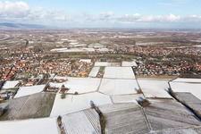 Oblique view of District Ingenheim in Billigheim-Ingenheim in the state Rhineland-Palatinate, Germany