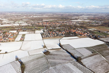 District Ingenheim in Billigheim-Ingenheim in the state Rhineland-Palatinate, Germany from above